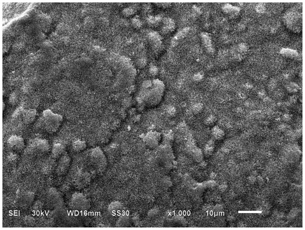 Cobalt-free positive electrode material, preparation method thereof and lithium ion battery