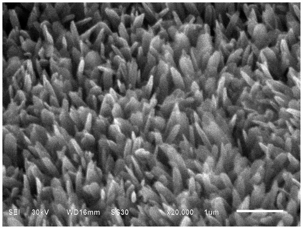 Cobalt-free positive electrode material, preparation method thereof and lithium ion battery