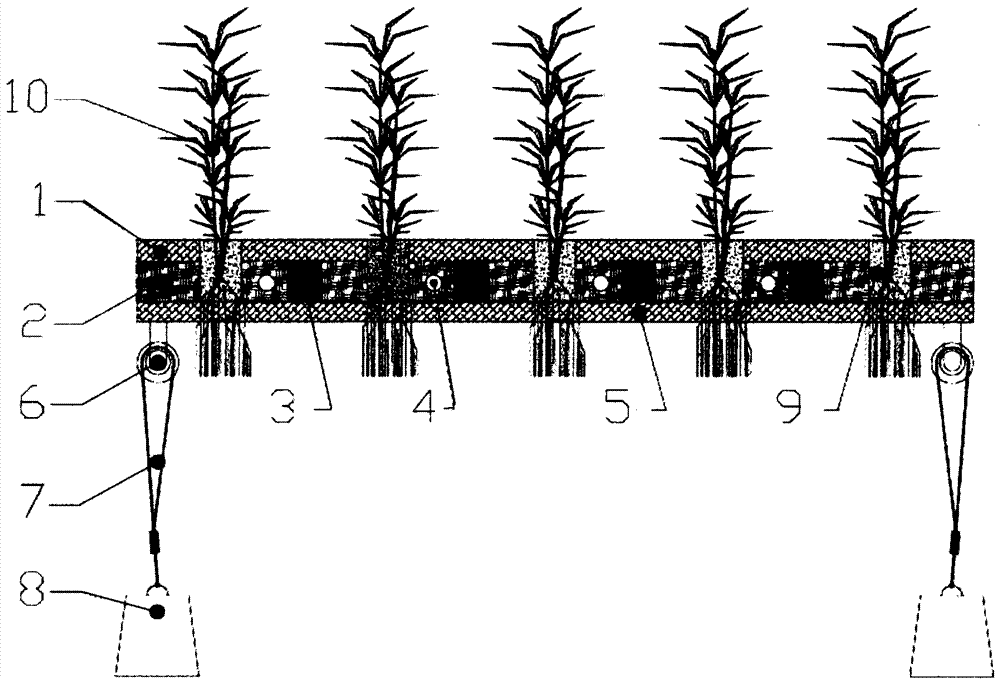 A rapid establishment platform for water ecological communities