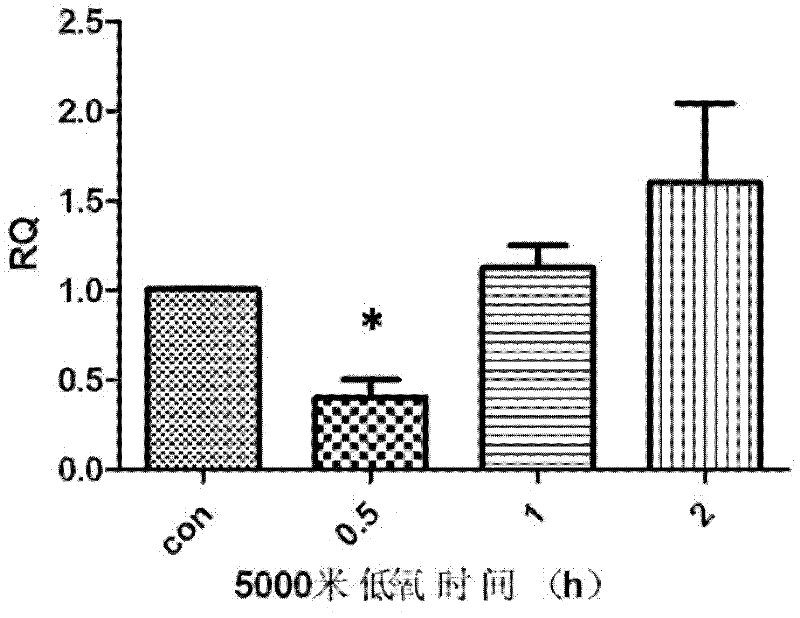 An early hypoxia detection kit using miRNA-210 as a marker