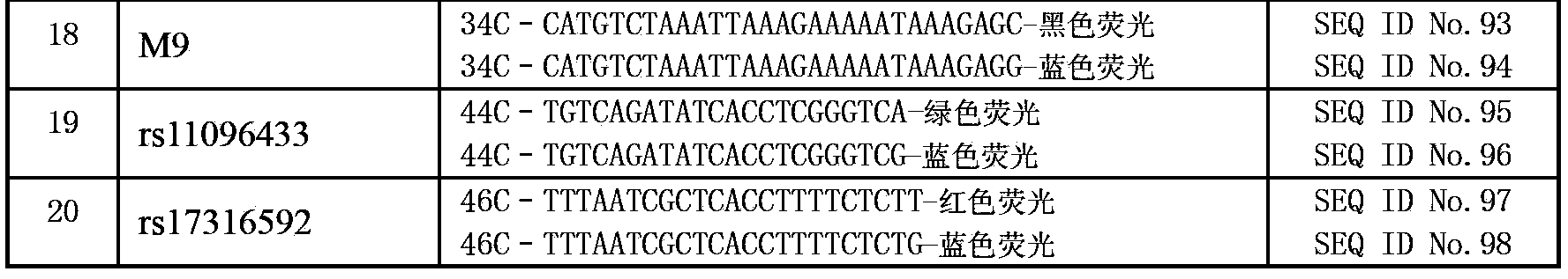 Forensic medicine compound detection kit based on Y chromosome SNP (single nucleotide polymorphism) genetic marker