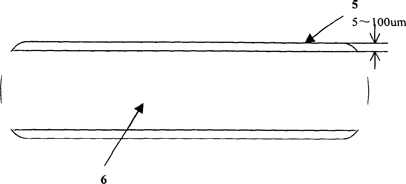 Rapid thermal process for silicon sheet capable of obtaining denuded zone and product thereof