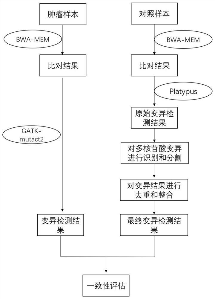 Method for correcting and evaluating a detection result of variation detection software