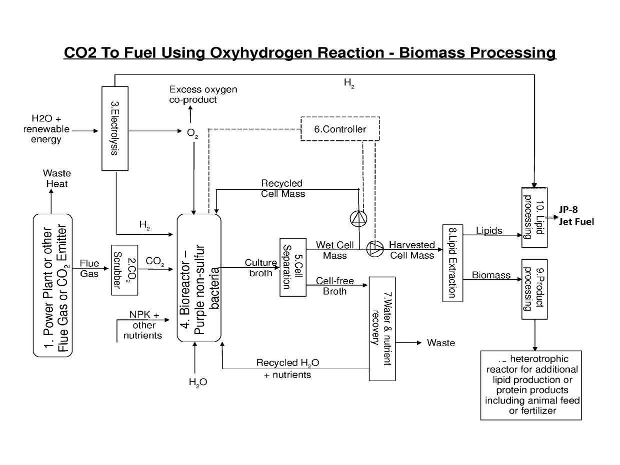 Use of Oxyhydrogen Microorganisms for Non-Photosynthetic Carbon Capture and Conversion of Inorganic and/or C1 Carbon Sources into Useful Organic Compounds