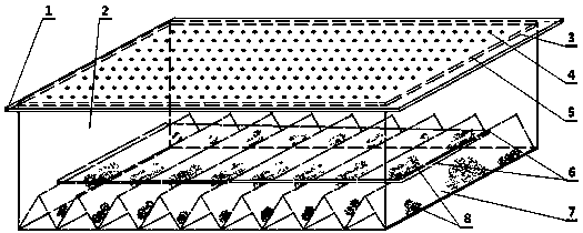 Collecting device and collecting method of dastarcus helophoroides eggs