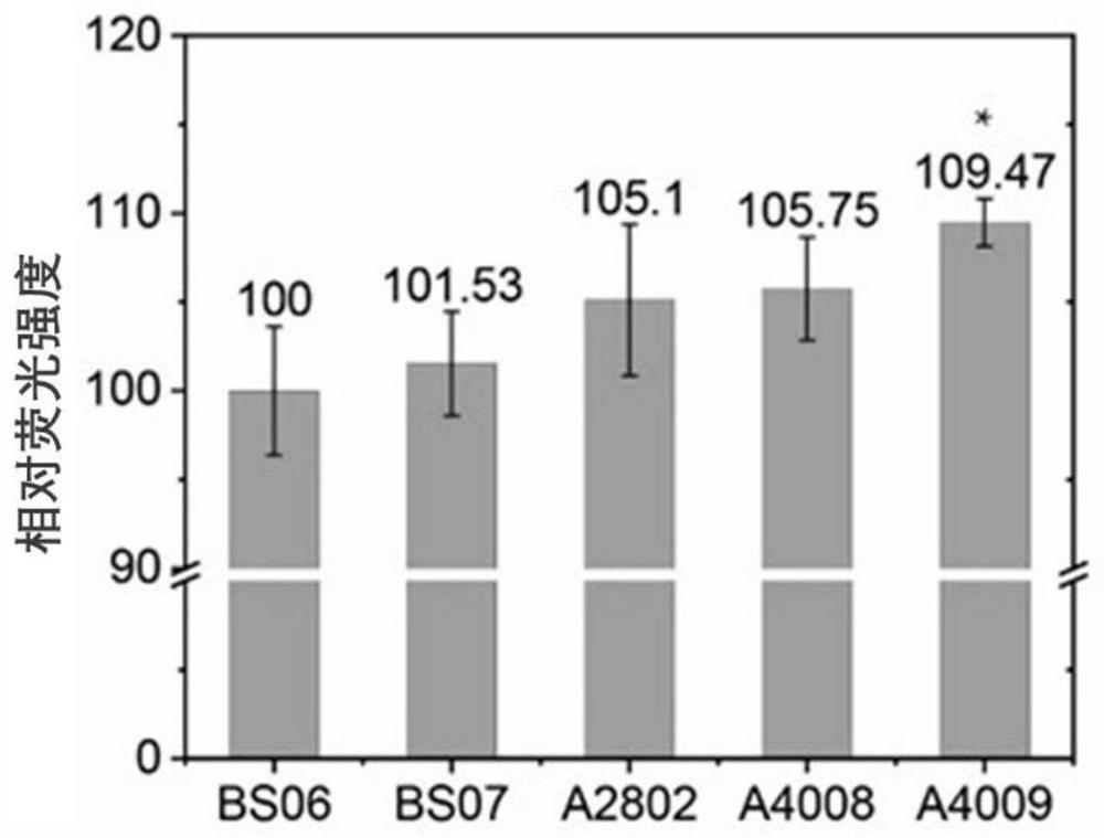 A kind of method for improving the expression of Bacillus subtilis ovalbumin