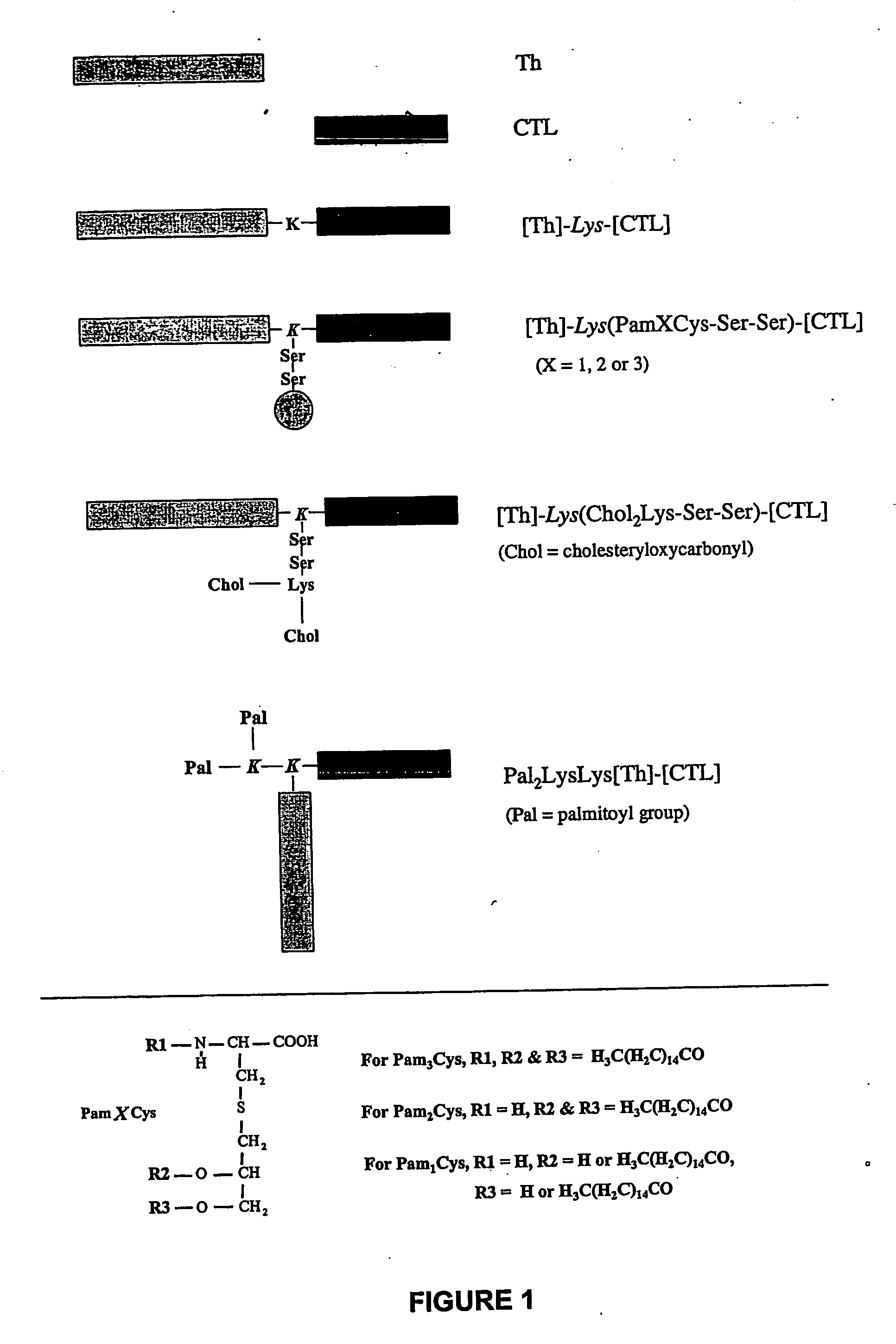 Novel immunogenic lipopeptides comprising t-helper and cytotoxic t lymphocyte (ctl) epitopes