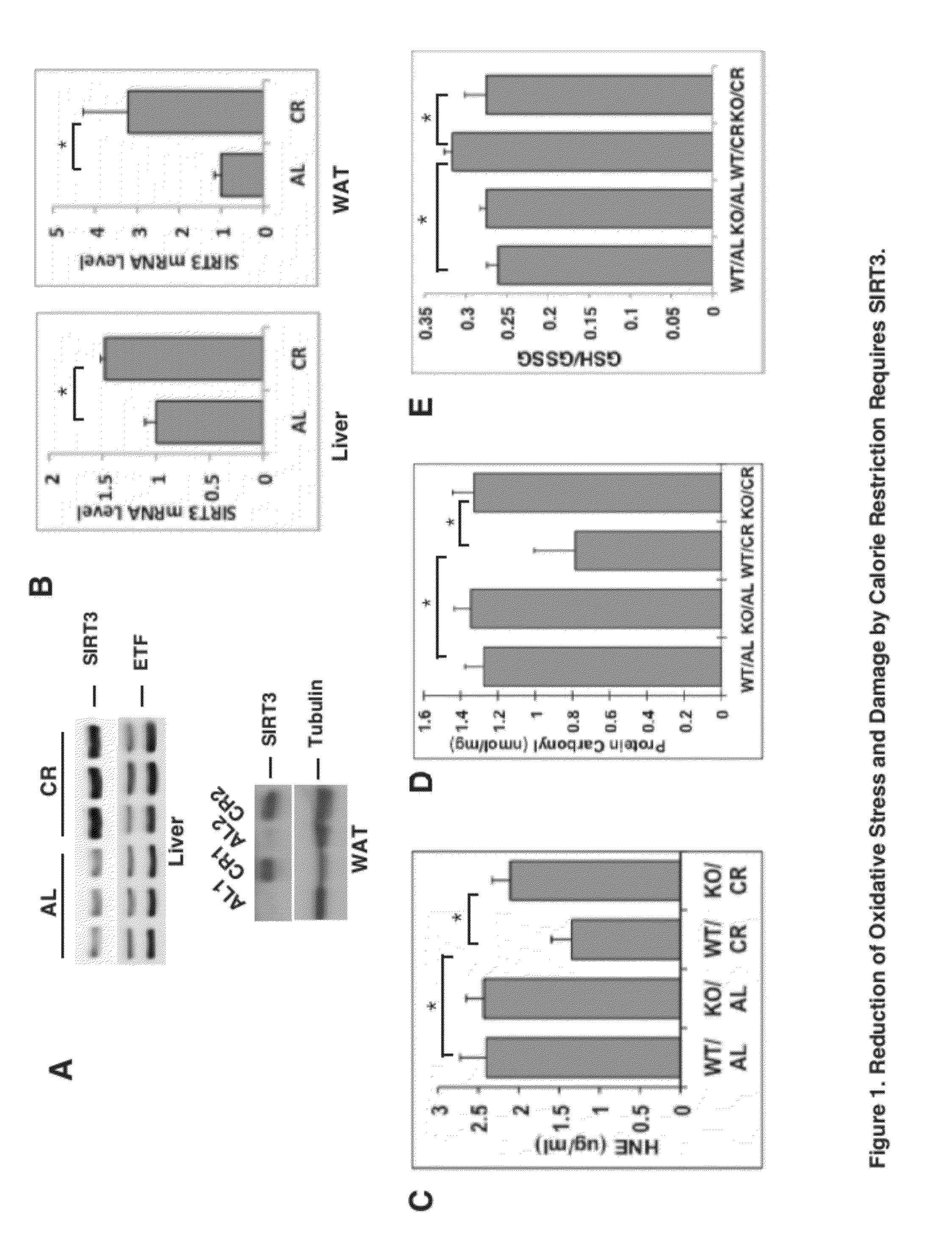 Superoxide dismutase variants and methods of use thereof