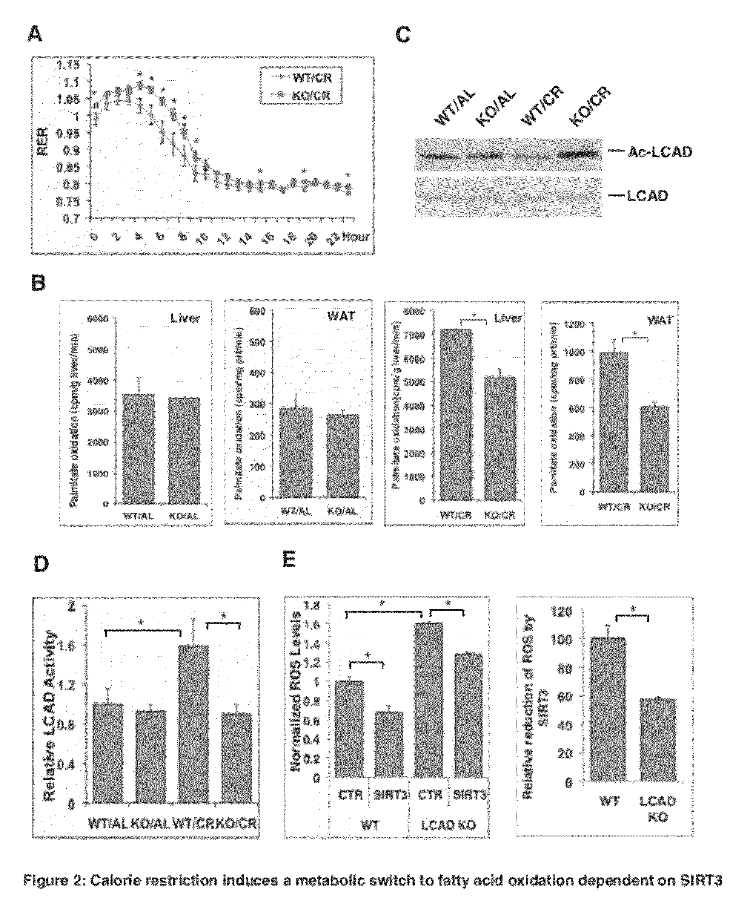 Superoxide dismutase variants and methods of use thereof