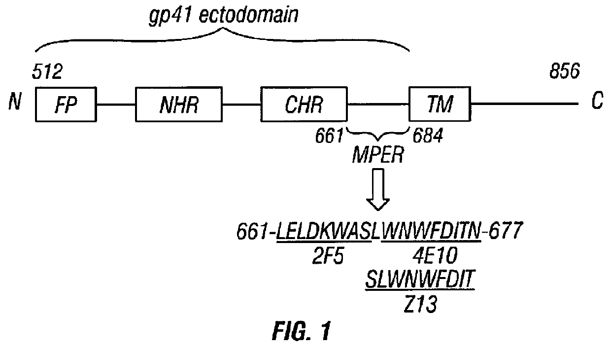 Reovirus vaccines and methods of use therefor