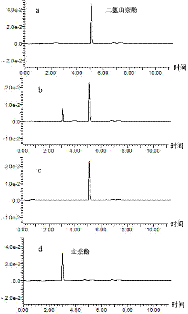 Tulipa fosteriana flavonol synthase TfFLS protein and coding gene thereof