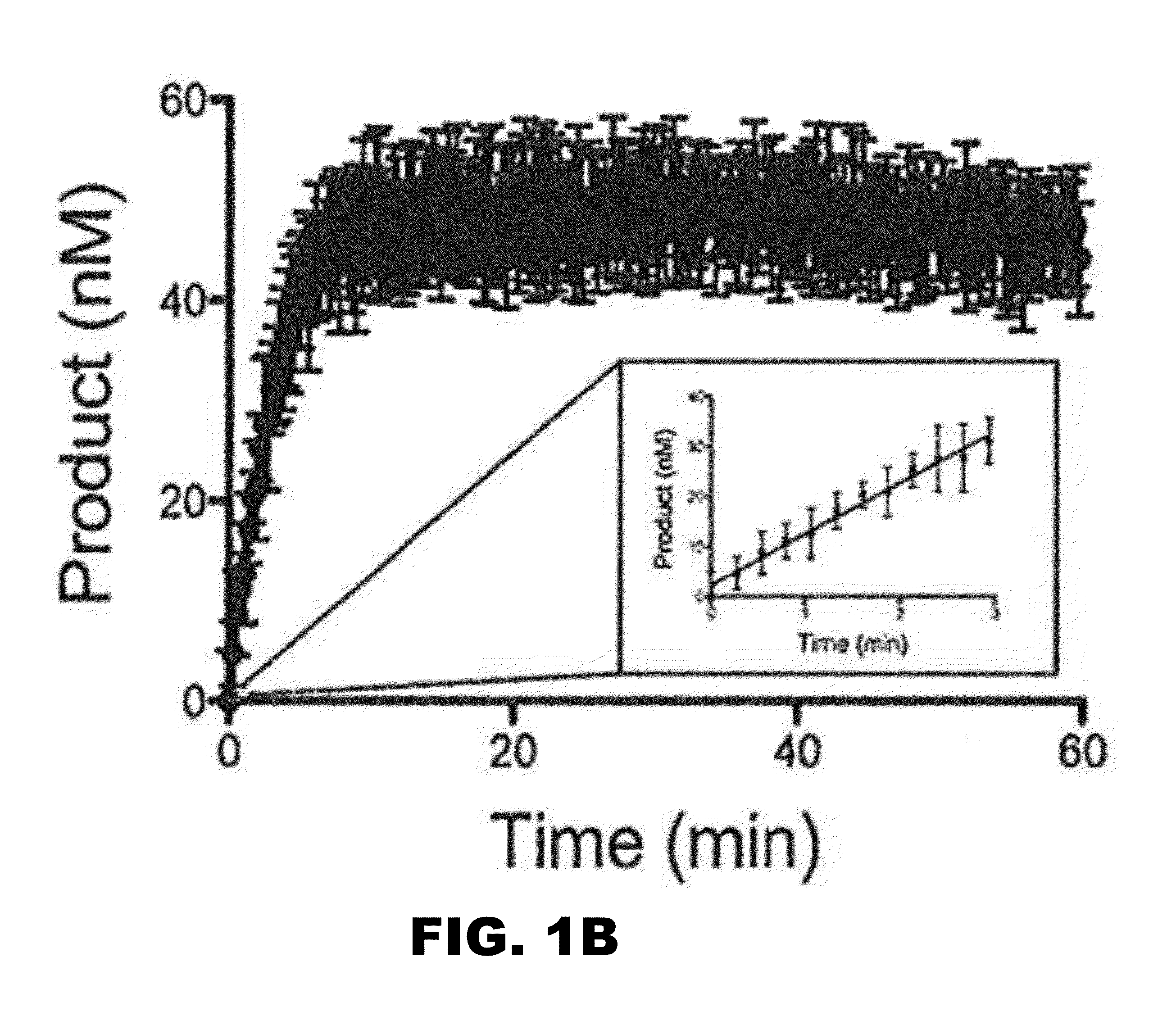 Polymerase, endonuclease, and helicase inhibitors and methods of using thereof