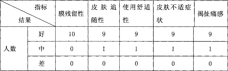 Compound panax notoginseng cataplasma