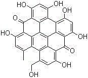 Pharmaceutical composition for preventing and treating bladder cancer