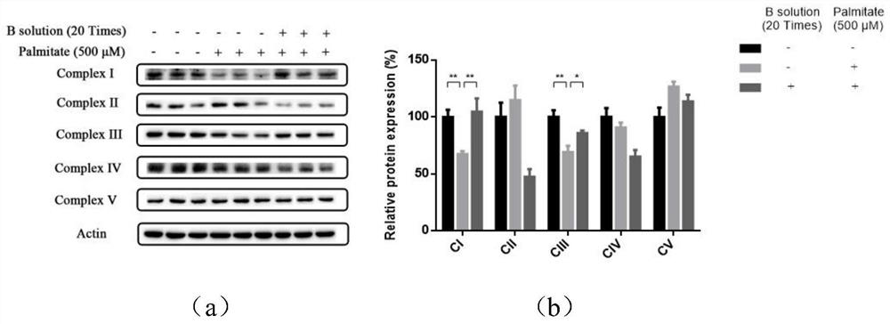 A drug for improving aortic endothelial cell function and its application