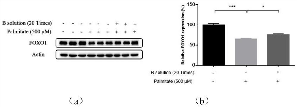 A drug for improving aortic endothelial cell function and its application