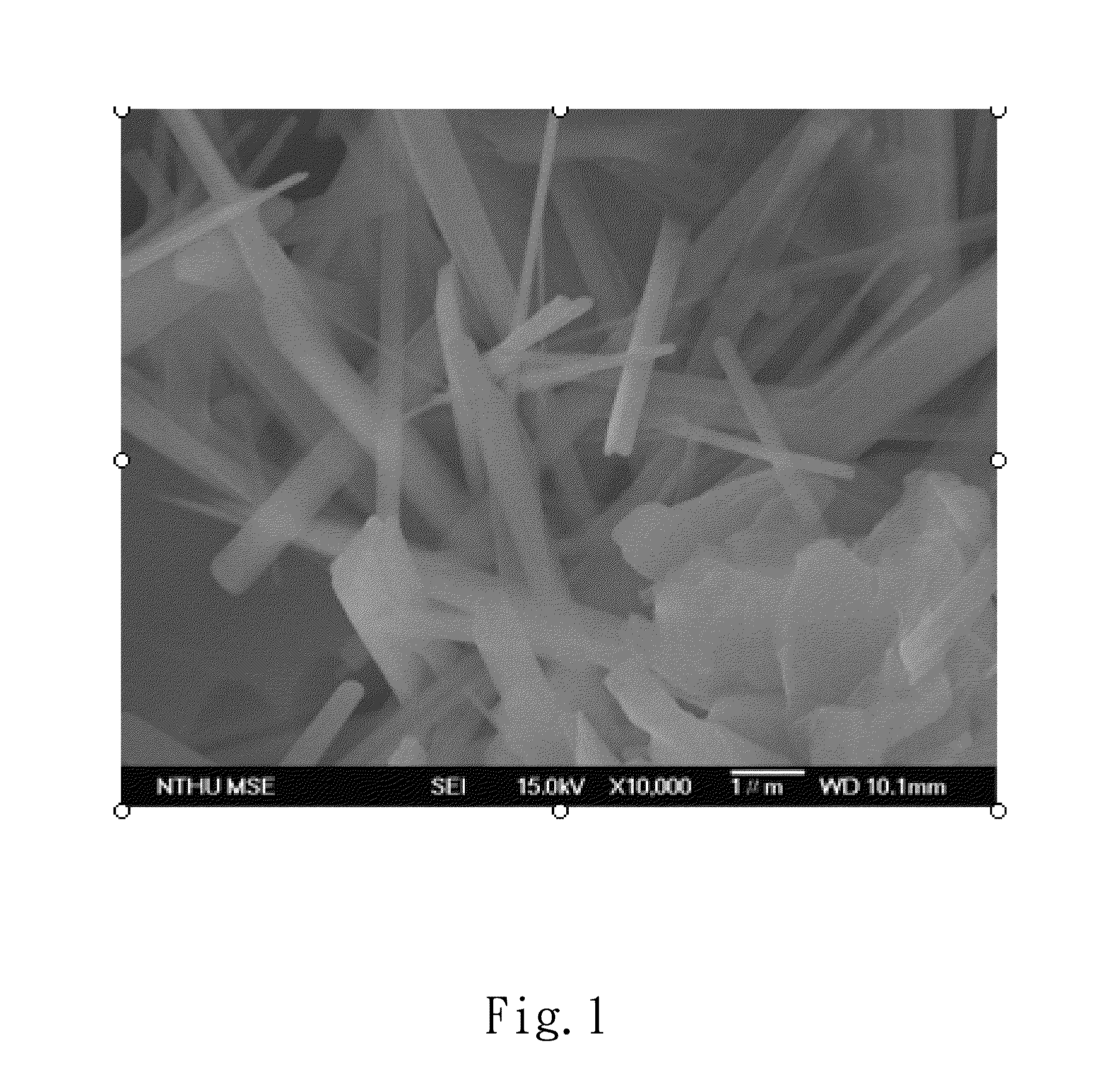 Oil extractor and the preparation method thereof