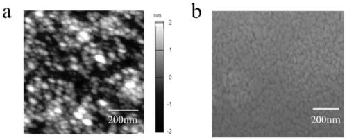 A method for measuring lactate dehydrogenase activity based on titanium dioxide thin film field effect transistor