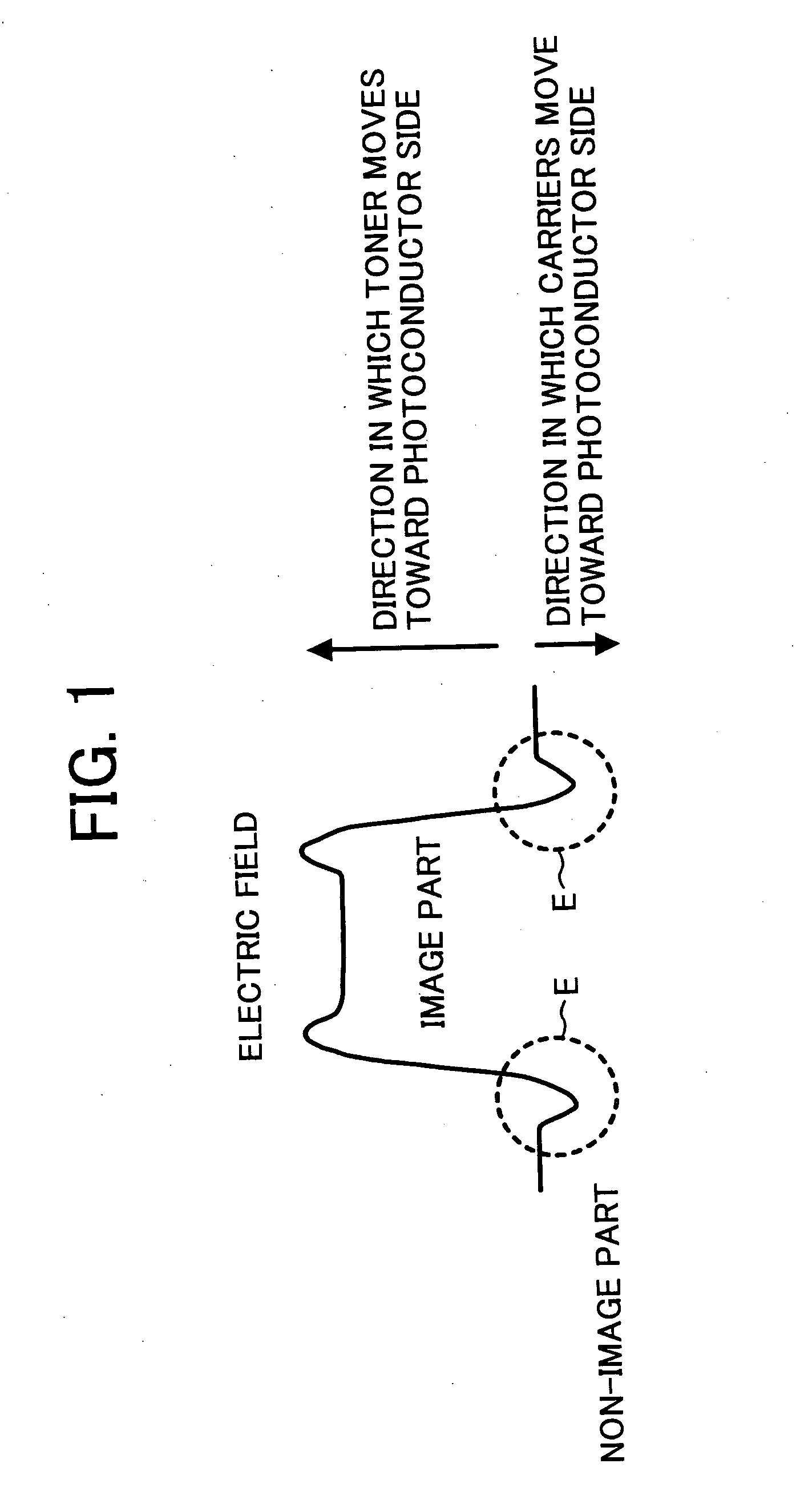 Magnetic carrier, two-component developer, development method, development device and image forming apparatus of electrophotography