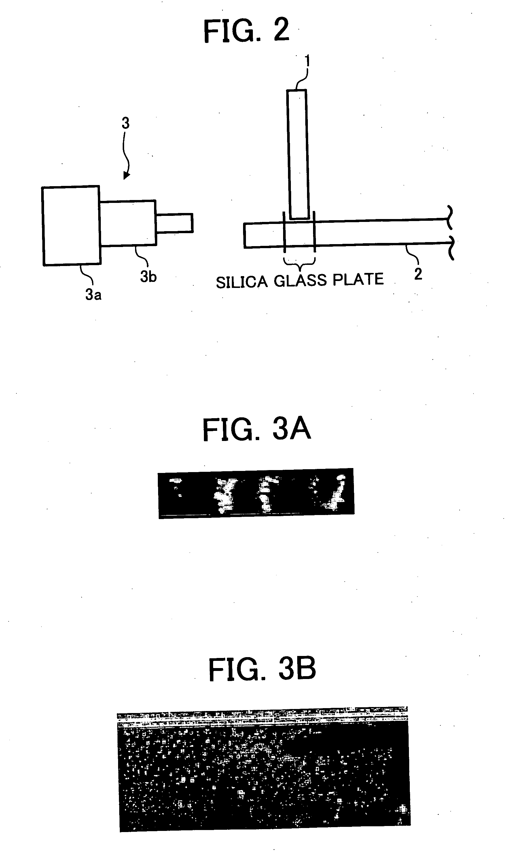 Magnetic carrier, two-component developer, development method, development device and image forming apparatus of electrophotography