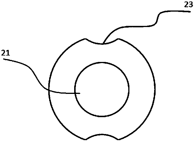 Sample cup for detecting coagulation function and application thereof