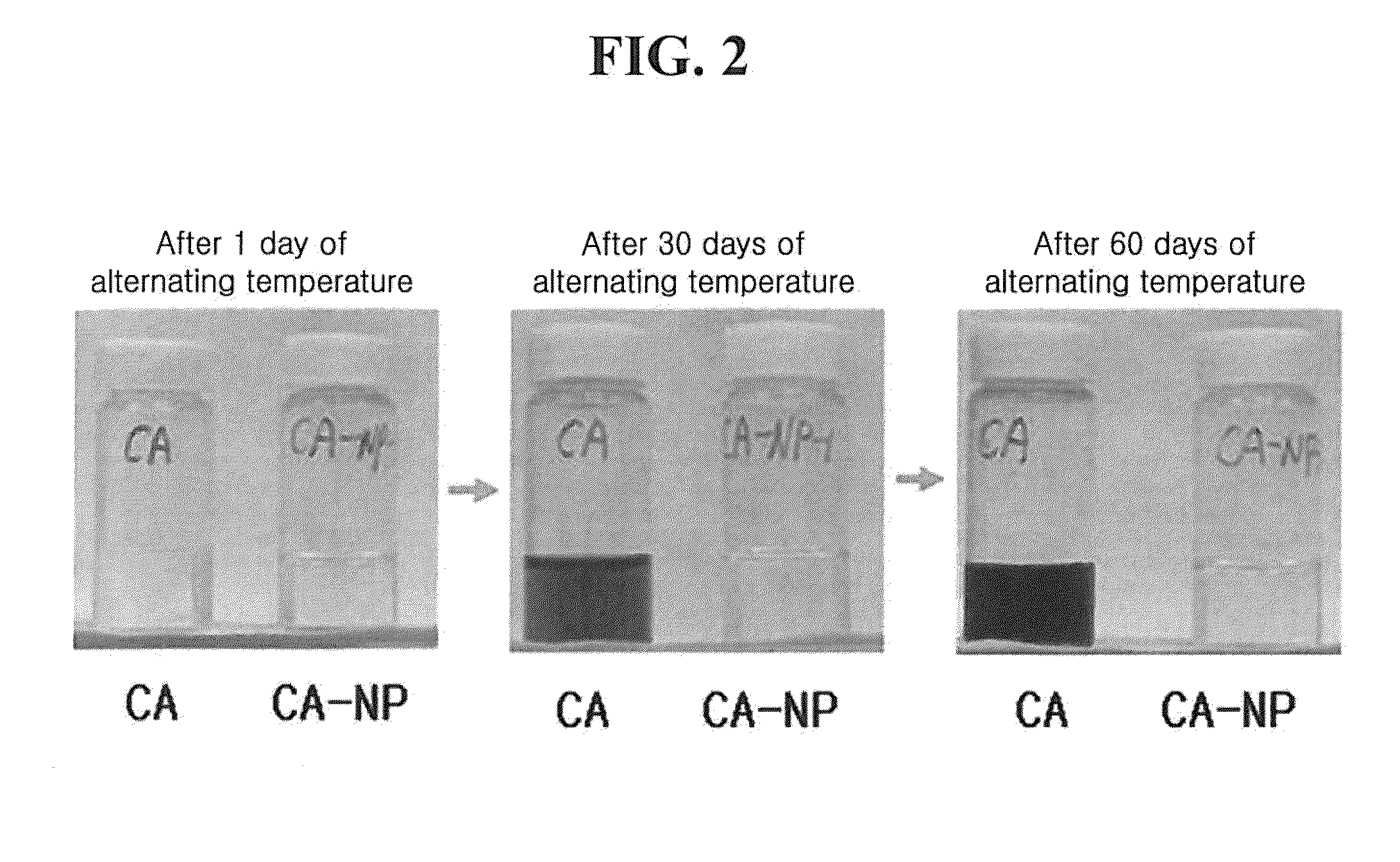 Caffeoylalphaneoendorphin peptide derivative and use thereof as Anti-itching and Anti-atopic agents