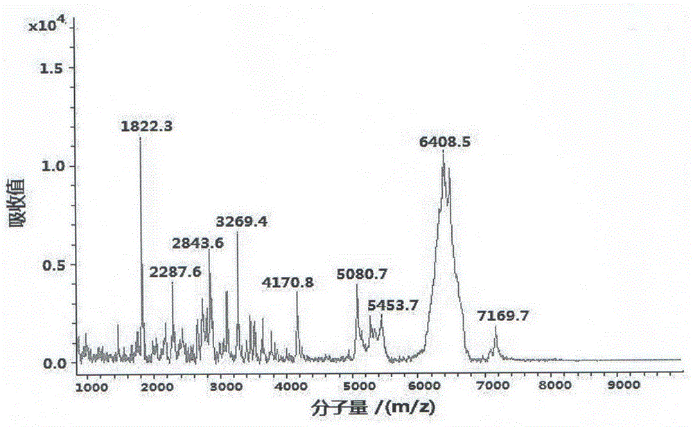 Quick preparation method and application of chickpea polypeptide powder