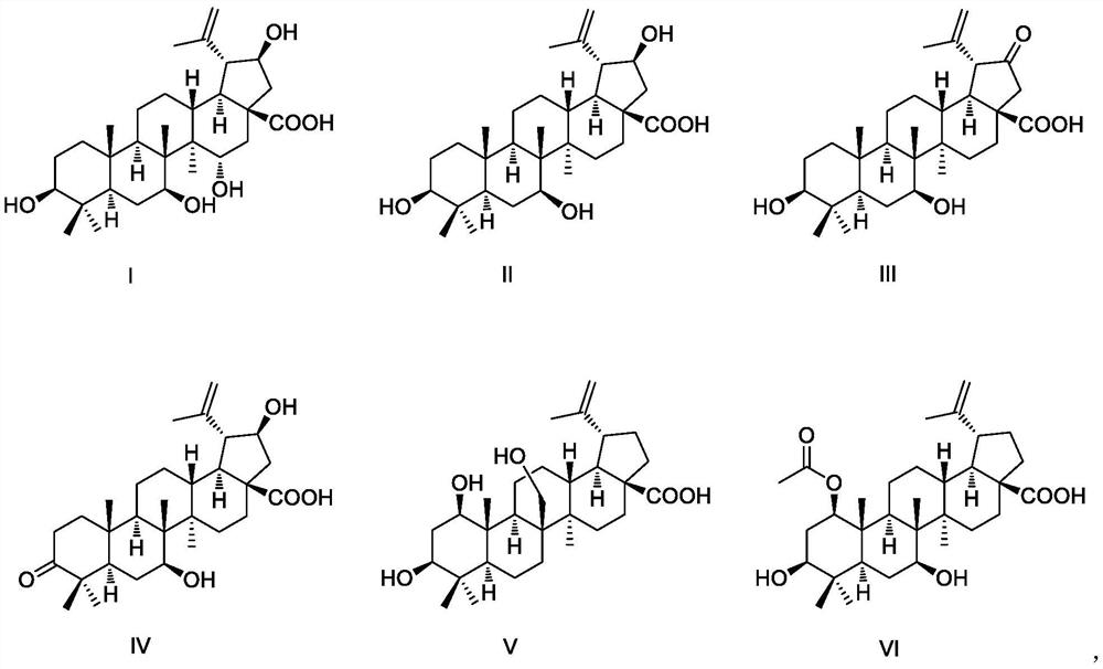 Application of betulinic acid derivatives in preparation of anti-liver lesion medicines