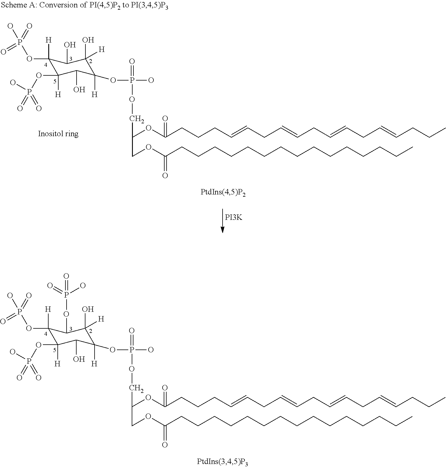 4-carboxamide indazole derivatives useful as inhibitors of PI3-kinases