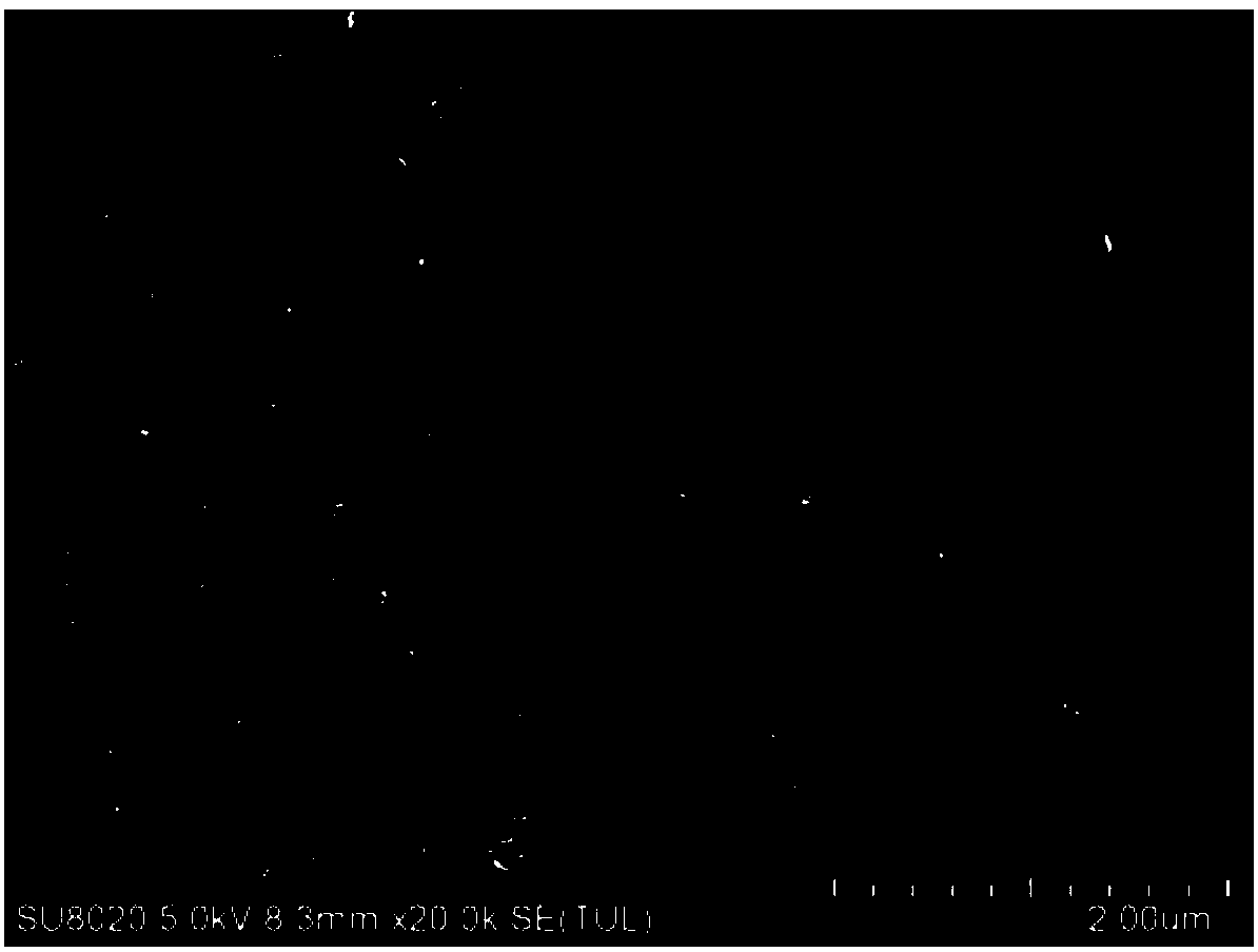 Method for growing metal carbide on metal surface