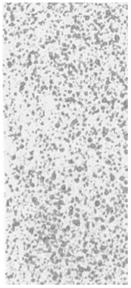 System and method for quickly testing and analyzing deposition and drift performances of pesticide