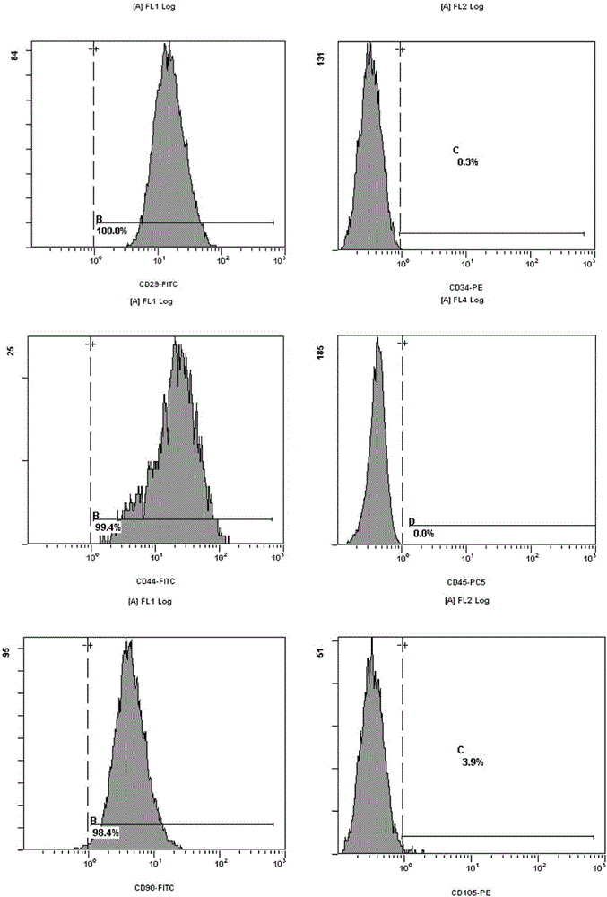 Preparation method and application of human umbilical cord mesenchymal stem cells