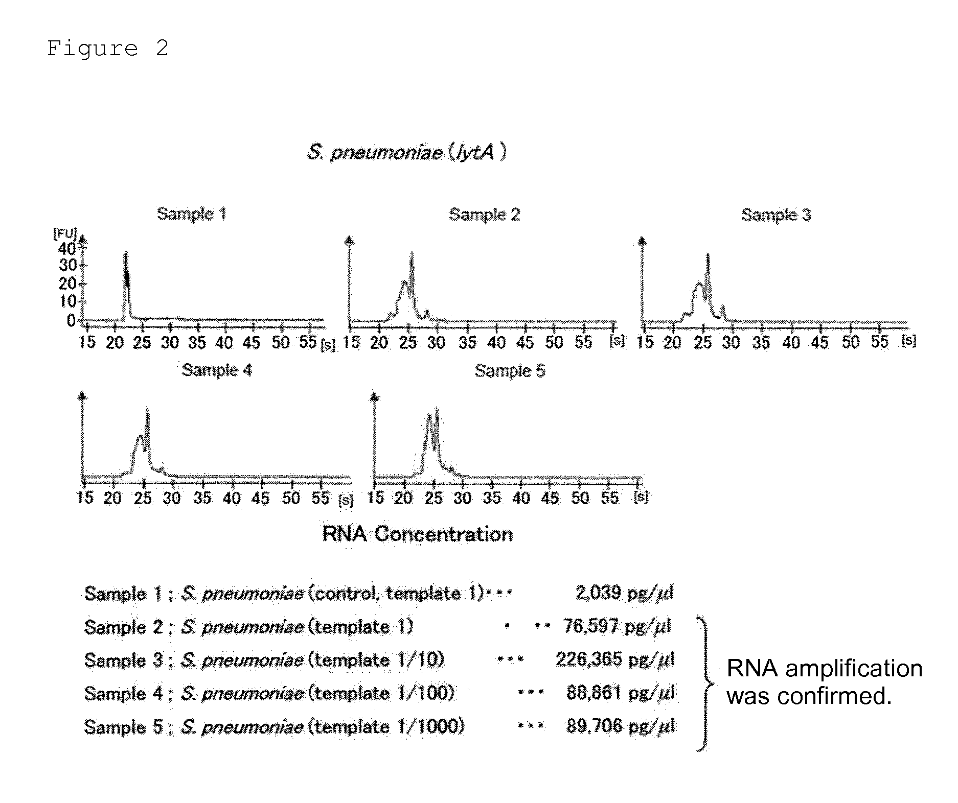 Method for detecting pneumonia causative bacteria using nucleic acid chromatography