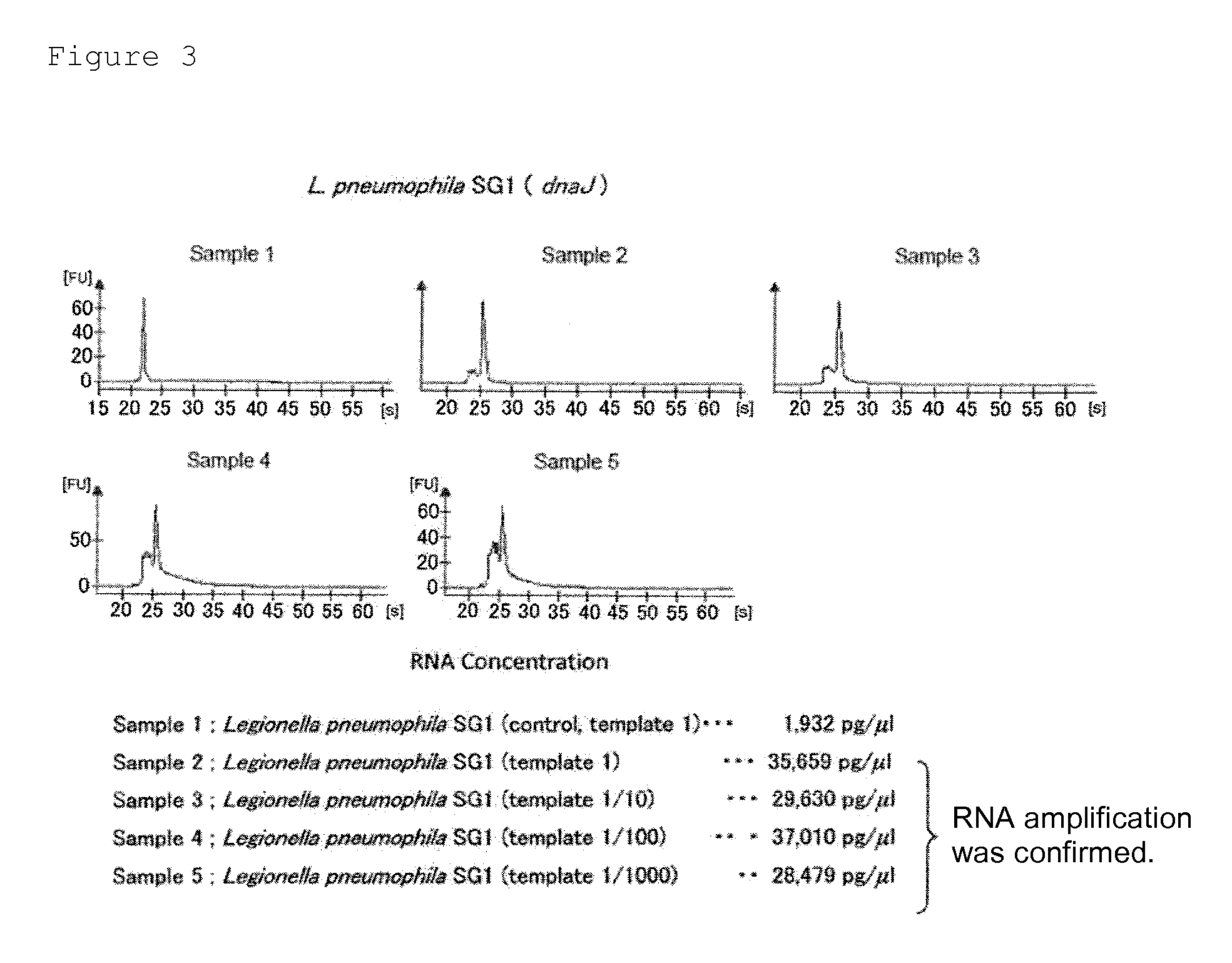 Method for detecting pneumonia causative bacteria using nucleic acid chromatography