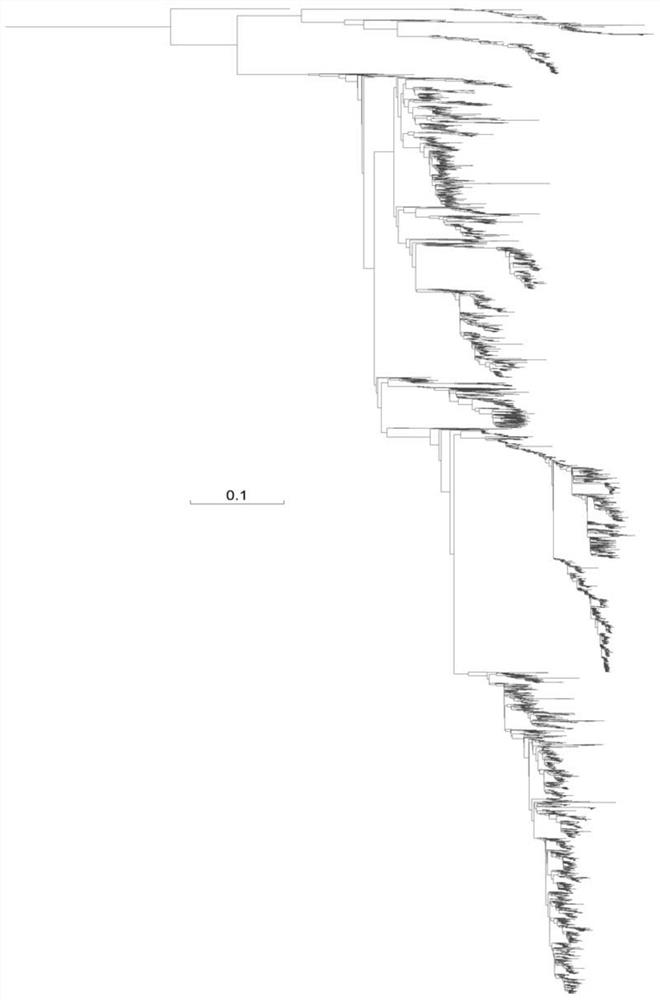 An automated method for detecting reassortment of segmented RNA viruses