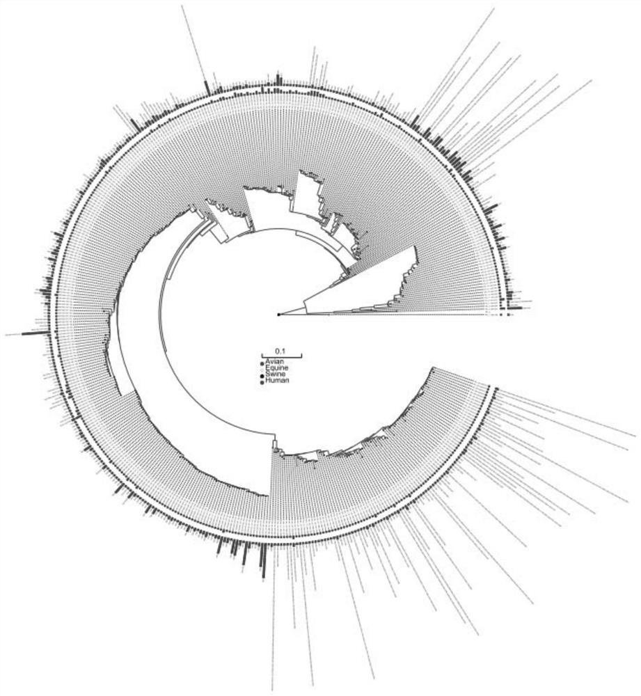 An automated method for detecting reassortment of segmented RNA viruses