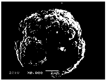 High-nickel gradient nickel cobalt manganese aluminum quaternary positive electrode material and preparation method thereof