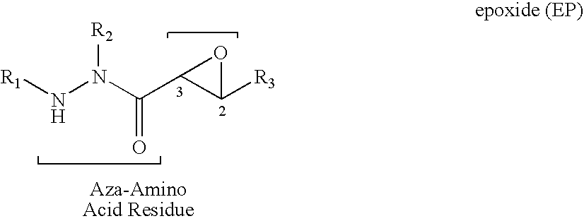 Aza-peptide epoxides