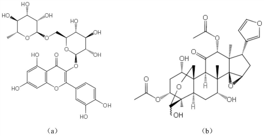 Extraction method and application of melia azedarach bark pigment