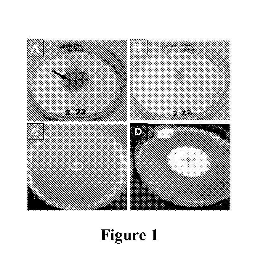 Method for treating/controlling/killing fungi and bacteria on living animals