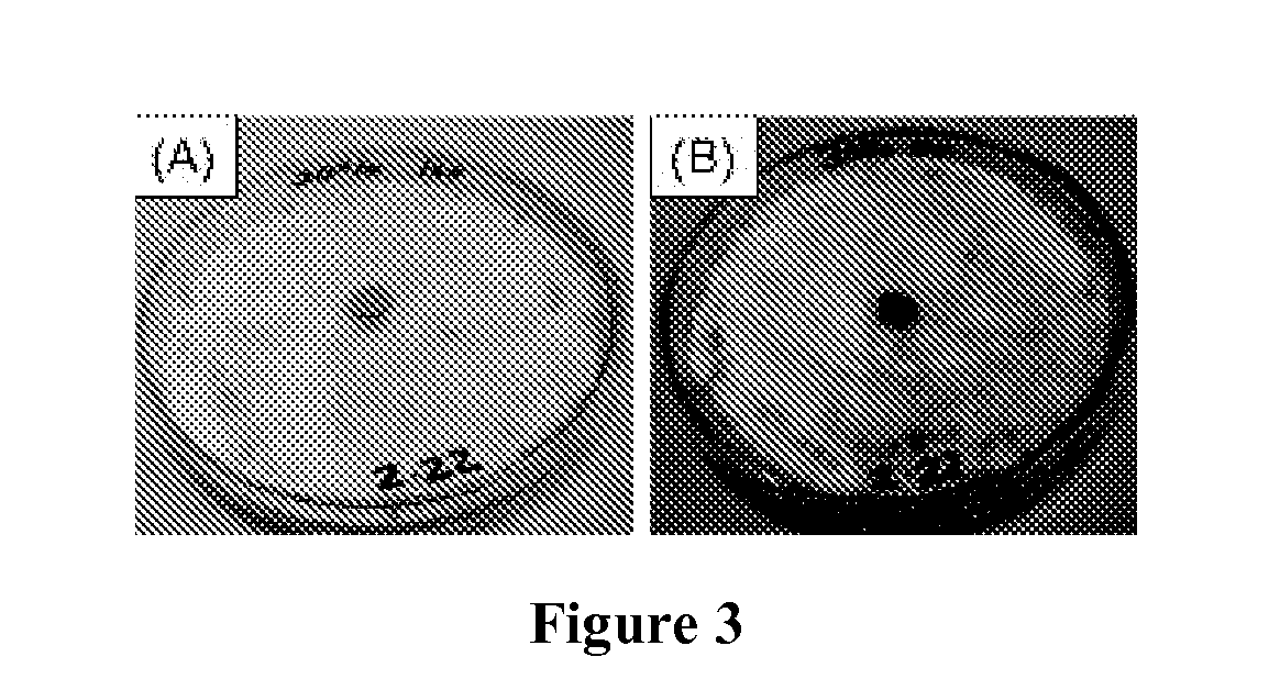 Method for treating/controlling/killing fungi and bacteria on living animals