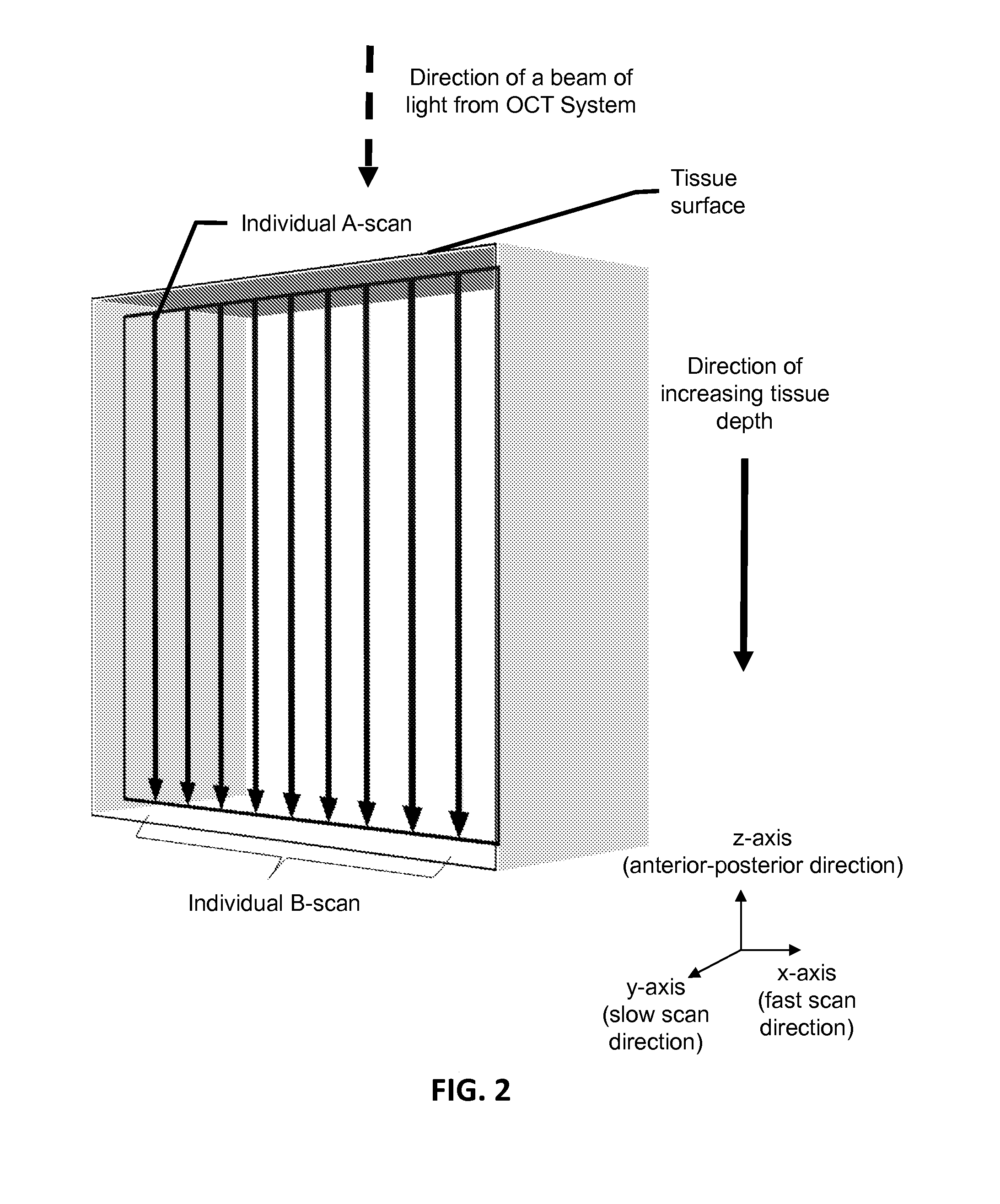 Optical coherence tomography (OCT) system with phase-sensitive b-scan registration