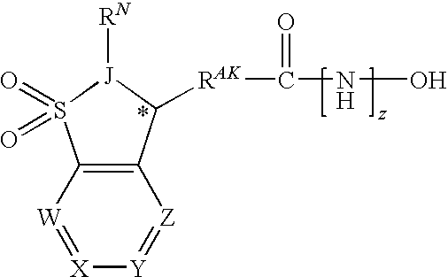 Bicyclosulfonyl Acid (BCSA) Compounds and Their Use as Therapeutic Agents