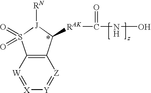 Bicyclosulfonyl Acid (BCSA) Compounds and Their Use as Therapeutic Agents