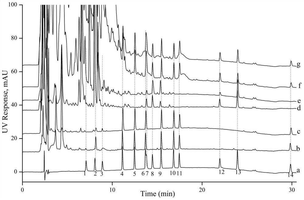 Preparation and application of polyethyleneimine modified reversed-phase/strong anion exchange mixed-mode polymer