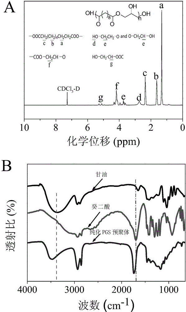 Beta-TCP/PGS composite scaffold and preparation method and application thereof