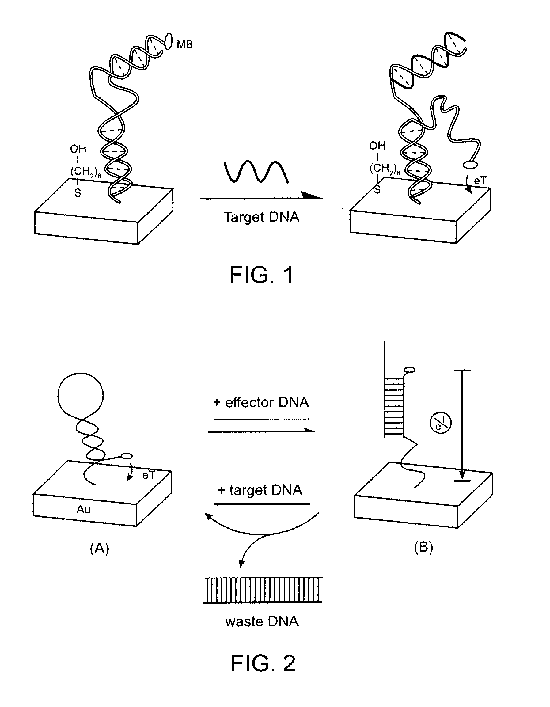 Signal-on architecture for electronic, oligonucleotide-based detectors