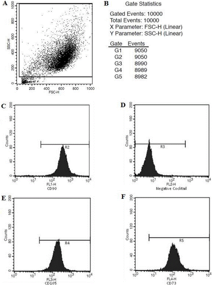 Human chorion mesenchymal stem cell isolated culture method