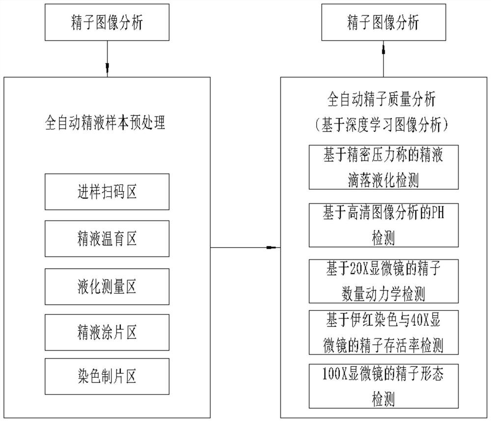 Full-automatic computer-assisted semen quality analysis system