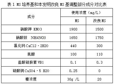 Tissue culture and rapid propagation method for producing spiranthes sinensis seedlings by using leaves